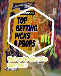 Betting on the super bowl odds