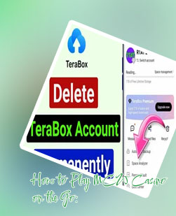 How to delete my babu88 account permanently