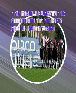 Just horse racing bet of the day