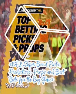 Top super bowl picks