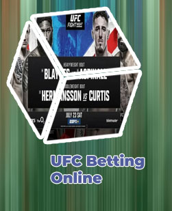 Ufc fights to bet on
