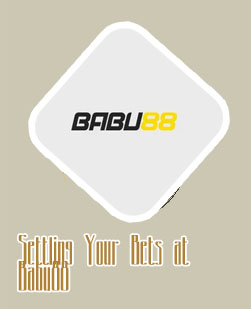 Your stake exceeds the maximum allowed babu88